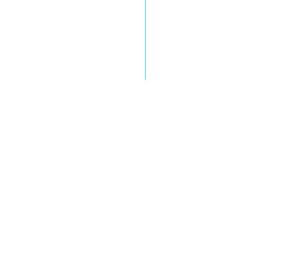 company title