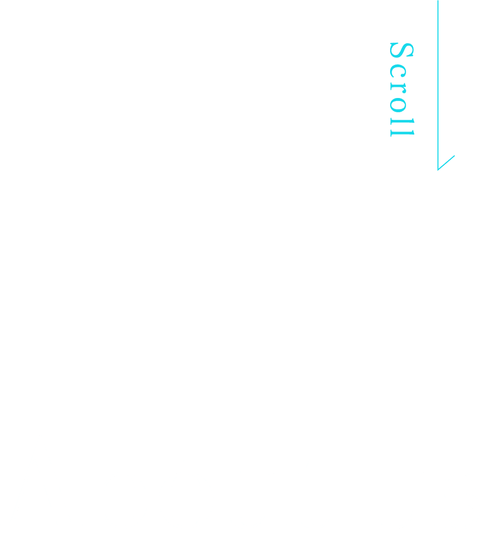 SP用about us title